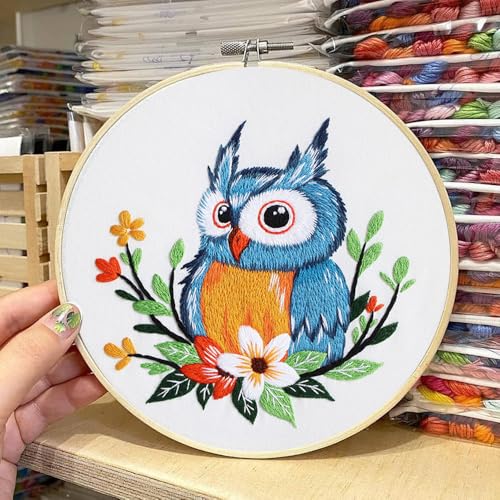 COCOMOX Embroidery Kit for Beginners, Hand Craft Practice Embroidery Kits - color: Owl pattern