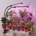 Grow Lights for Indoor Plants 2 Heads Full Spectrum plant light growing - size: 2 heads