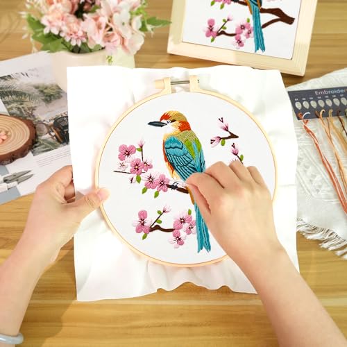 MAMUNU Embroidery Kit for Beginners Adults, Cross Stitch Kits, Stamped Cross Stitch Kits, Hummingbird and Flower Embroidery Kit with Printed Embroidery Cloth, Embroidery Hoop, Color Threads and Tools - color: Bird