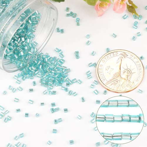 6000pcs Sky Blue Bugle Beads Bulk, Embroidery Tube Short Beads for Jewelry Making, Bracelet,Necklaces Supplies,Craft DIY(3x2mm) - color: Sky blue
