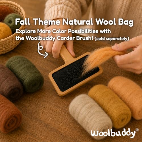 Woolbuddy Merino Wool Roving Kit for Needle Felting (Fall) 10g Per Color - color: Wool Bag Fall