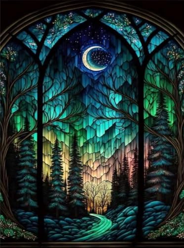 WUSARPLY Starry Night Stamped Cross Stitch Kits for Beginners Adults - color: J071