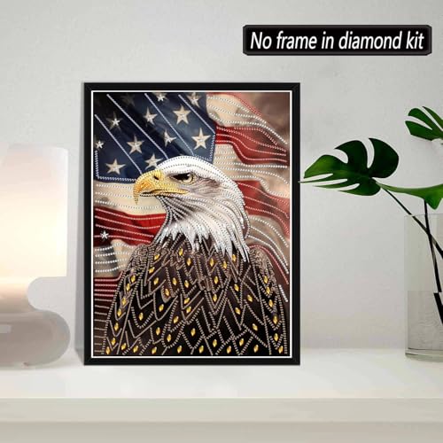 SKRYUIE DIY Diamond Art Kits for Adults Eagle Special Shape - 5D Diamond Painting Kits for Adults Animal - Crystal Embroidery Cross Stitch - Craft for Wall & Office Decor 12×16 Inch - color: Colorful-2