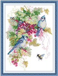 Aiorkeng Cross Stitch Kits Stamped Full Range of Embroidery Starter Kits for Adults Beginners DIY Needlepoint Kit 11CT 3 Strands -Printed kit Blue Jays and Grapes(Printed) 16.1×21.7 inches - color: Blue Jays and Grapes41×55cm