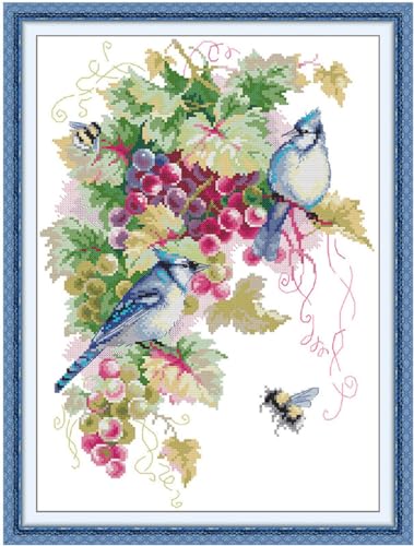 Aiorkeng Cross Stitch Kits Stamped Full Range of Embroidery Starter Kits for Adults Beginners DIY Needlepoint Kit 11CT 3 Strands -Printed kit Blue Jays and Grapes(Printed) 16.1×21.7 inches - color: Blue Jays and Grapes41×55cm
