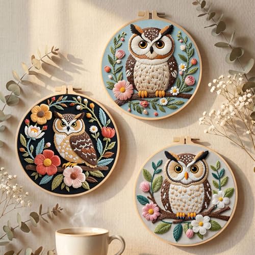 Santune Embroidery Kit for Beginners Needlepoint Cross Stitch Kits Adult Needle Point Sets with Owl Embroidery Patterns, Includes Step-By-Step Instructions and Accessories - color: Owl Series