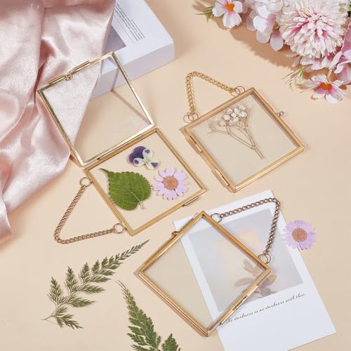 OLYCRAFT 6pcs Mini Hanging Glass Frame 2.9 Inch Wall Hanging Photo Frames Double Glass Picture Frame with Chain Alloy Frame DIY Vintage Artwork Display Frames for Pressed Flowers Pictures Home Wall - size: 2.9 Inch