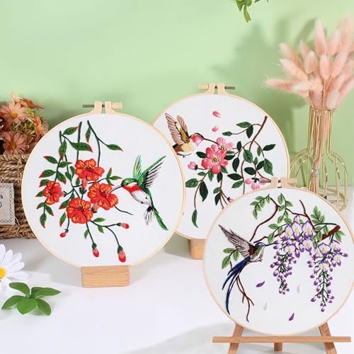 Ohcol 3 Sets Hummingbird Embroidery Kit for Beginners Needlepoint Kits for Adults Cross Stitch Kits with Clear Instructions,Easy Funny Stamped Bird Patterns Fabric Hand Crafts - color: Q-Hummingbird (3 Patterns, 1 Hoop + Extas)