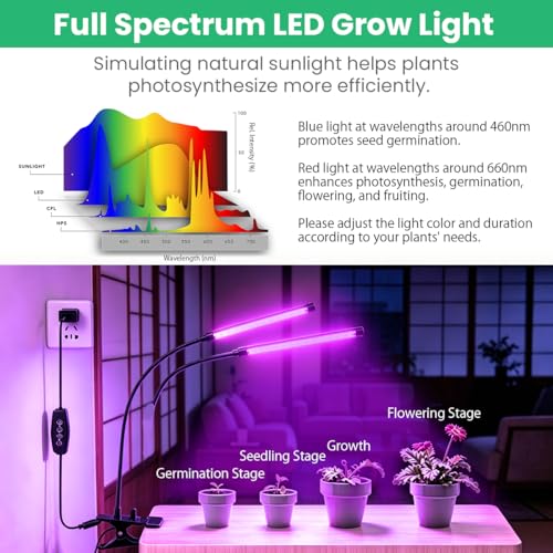 Grow Lights for Indoor Plants 2 Heads Full Spectrum plant light growing - size: 2 heads