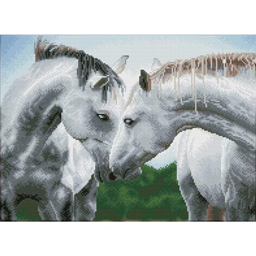 DIAMOND DOTZ Sweet Talk Horse Diamond Painting Kit for Adults with Gems