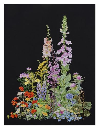 Thea Gouverneur - Counted Cross Stitch Kit - American Wild Flowers - Aida Black - 16 Count - Embroidery Kit for Adults - DMC Embroidery Threads and Other Cross Stitch Supplies Included - 554.05 - color: 554.05 Aida Black