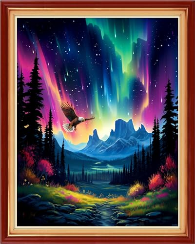 Artvxeay Stamped Cross Stitch Kits - Embroidery Kits for Beginners Cross Stitch Kits for Adults 11 CT Printed Patterns Needlepoint Kits- Aurora Borealis Night Scene 16x20 inch - color: Aurora Borealis Night Scene 16x20 inch