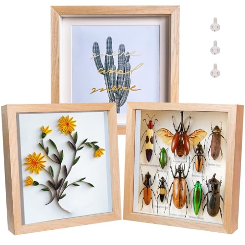 8x8 Shadow Box Frame Natural Wood Shadow Box Display Case 3 Pack Picture Frames Glass Surface Internal Depth 0.6 inch for Wall Or Tabletop - color: Teak, size: 8x8 inch