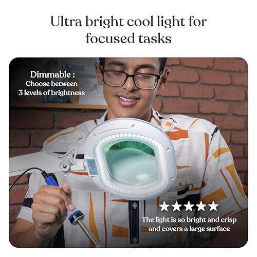 Brightech LightView Pro Magnifying Glass with Stand and Light – Magnifying Floor Lamp with 6-Wheels on a Sturdy Base for Facials – LED Work Light with XL Magnifier Glass for Crafts and Projects