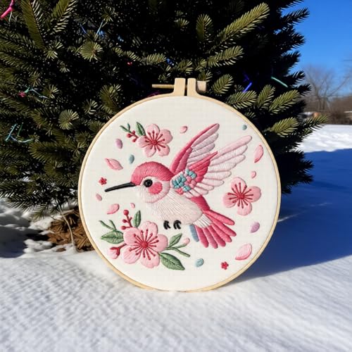 JJFox Embroidery Kit for Beginners and Adults, DIY Hand Embroidery Starter Kit with Cute Pattern, Cross Stitch Needlepoint Set with Hoop, Threads and Instructions (Hummingbird) - color: Hummingbird