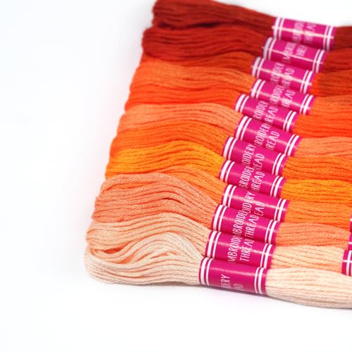 Friendship Bracelet String 12 Skeins, Embroidery Floss Cross Stitch Embroidery Thread Floss Bracelet Making Yarn, Craft Floss (Red Series) - color: Red Series
