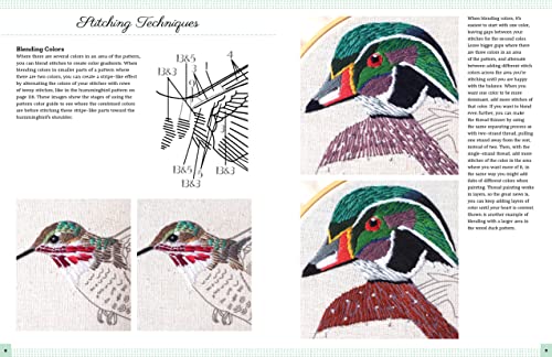 Embroidery Made Easy: Beautiful Birds: Easy techniques for learning to embroider a variety of colorful birds, including a cardinal, a barn owl, and a puffin