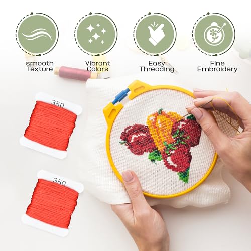 Embroidery Floss Kit and Refills - Cotton Threads - DMC Color Coding for Cross Stitch, String Crafts, Friendship Bracelets - color: 350 Crimson