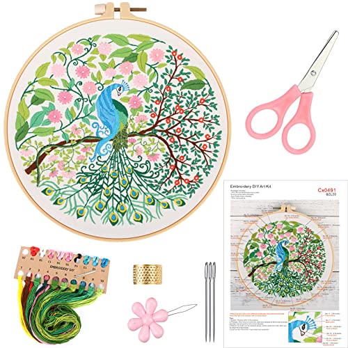 MUFEKUM Embroidery Kit for Beginners with Pattern and Instructions