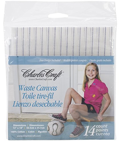 Waste Canvas 14ct 12in x 18in (2 Pack)
