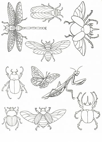 Water Soluble Embroidery Patterns Stabilizers, Stick and Stitch Embroidery Transfers Paper Tear Away Embroidery Stabilizer with Fun Designs for Stitching, Flowers and Animals (Beetles N Bugs) - color: Beetles N Bugs