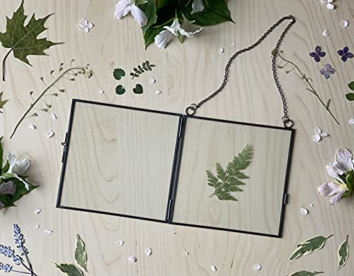 Beedecor Glass Frame for Pressed Flowers, Leaf and Artwork - Hanging Square Metal Picture Frames, Clear Double Glass Floating Frame, Wall Decor Photo Display, Set of 2 Flower Press Frames with Chain - color: Gunmetal black, size: 6x6