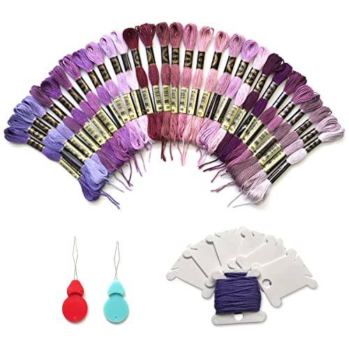 levylisa Embroidery Floss 30 Skeins Cross Stitch Threads Friendship Bracelets Floss with 10 Pcs Floss Bobbins and 2 Pcs Needle Threader (Purple) - color: Purple