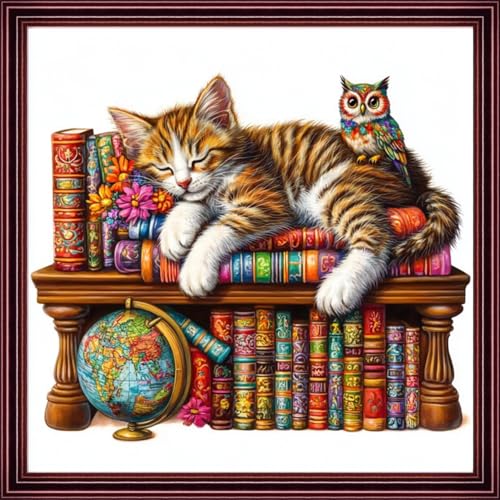 Funchey Counted Cross Stitch Kits for Adults Needlepoint Kits Unprinted Cross Stitching Embroidery Kit 11CT Cross Stitch Supplies-The cat Sleeping in on Bookshelf 18x18 inch - color: ArtsKits17