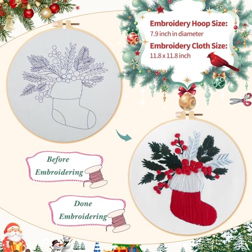 Canlierr 10 Sets Christmas Embroidery Kit with Patterns Instructions Needle Thread Tool Christmas DIY Cross Stitch for Adult Beginner Lover Xmas Holiday Party Supplies(Vivd Style) - style: Vivd Style