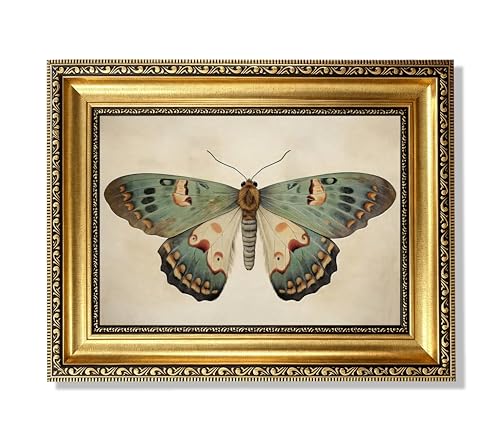 Vintage Gold Framed Butterfly Wall Art,Retro Natural Butterfly Canvas print - color: Butterfly Gold Framed, size: 11"L x 9"W