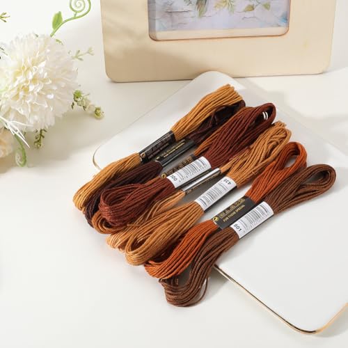 8 Skeins 6 Strands Brown Embroidery Floss Threads Polyester Variegated Gradient Friendship Bracelet String Cross Stitch Thread Bulk for Jewelry Making Hand Sewing Knitting Stitching Crafts - color: Brown