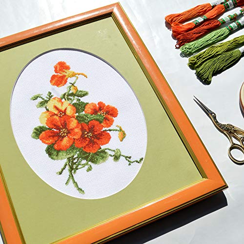Povitrulya Summer Flowers Cross Stitch Kit 'Nasturtium' - Floral DIY Embroidery Set for Adults with Paper Pattern and Prestored Floss - color: Nasturtium