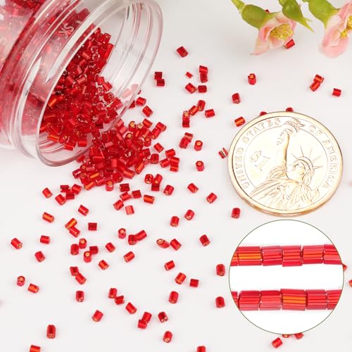 6000pcs Red Bugle Beads Bulk, Embroidery Tube Short Beads for Jewelry Making, Bracelet,Necklaces Supplies,Craft DIY(3x2mm) - color: Red