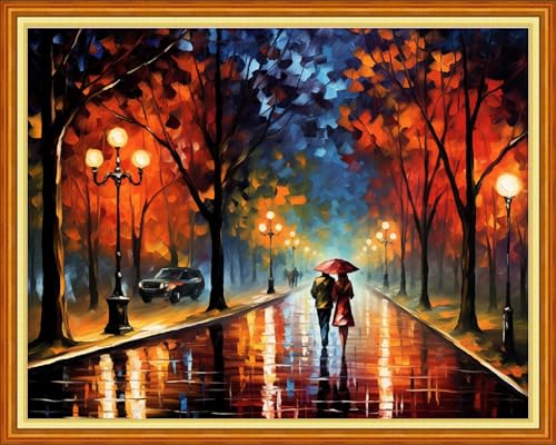 Dimensean Stamped Cross Stitch Kits Full Range of Embroidery Patterns Starter Kits for Beginners Adult DIY Cross Stitches Needlepoint Kits 11CT-Strolling Night Scenery 16x20 inch - color: Craftpattern08