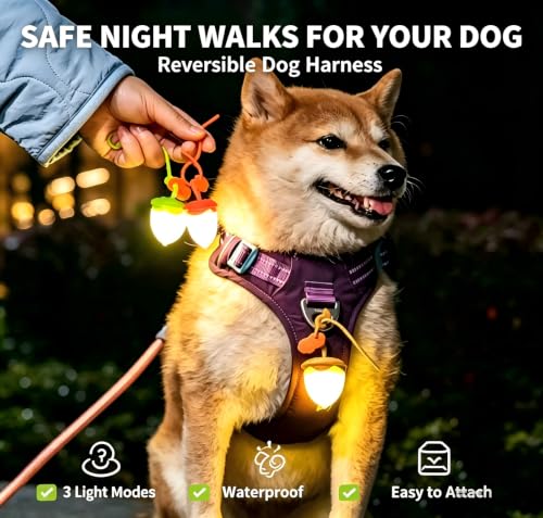 LaRoo LED Dog Collar Charm, Rechargeable Light with 3 Modes, Natural Rubber Pet Safety Light, 5 Hour Glow(Yellow) - color: Yellow-C
