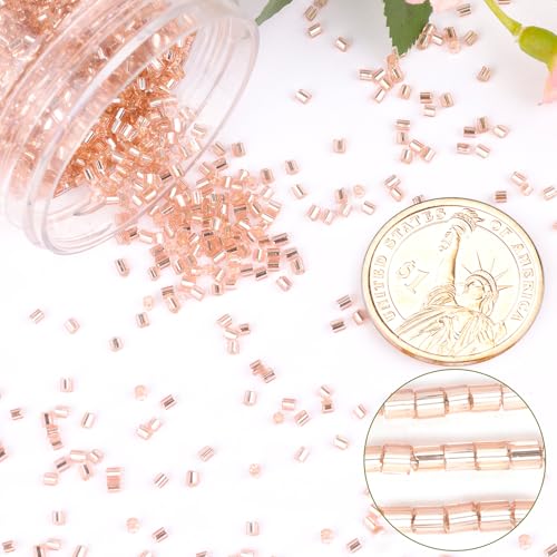 6000pcs Champagne Bugle Beads Bulk, Embroidery Tube Short Beads for Jewelry Making, Bracelet,Necklaces Supplies,Craft DIY(3x2mm) - color: Champagne