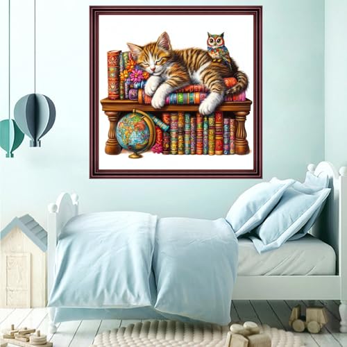 Funchey Counted Cross Stitch Kits for Adults Needlepoint Kits Unprinted Cross Stitching Embroidery Kit 11CT Cross Stitch Supplies-The cat Sleeping in on Bookshelf 18x18 inch - color: ArtsKits17