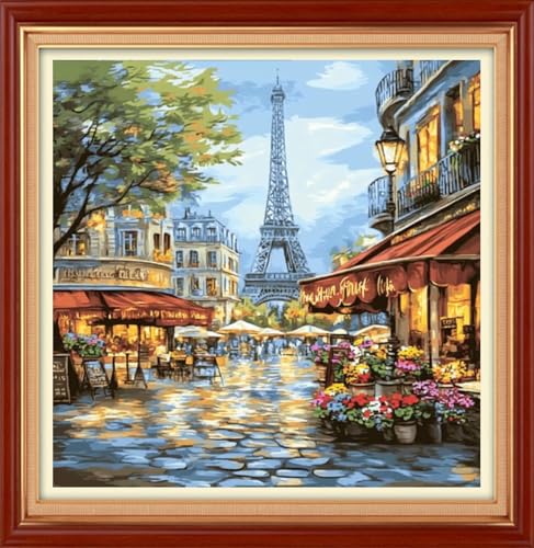 Foxhool Stamped Cross Stitch Kits,11CT Printed Cross Stitch Pattern Full Embroidery Kits for Beginner Needlepoint Kits&Eiffel Tower Street Market 18x18 inch - color: ColorSet18