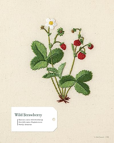 Embroidering Plants and Flowers for Beginners: 33 Plants to Stitch (Landauer) Ready-to-Use Embroidery Patterns Inspired by Nature, with Diagrams, Photos, a Stitch Guide, and Thread Suggestions