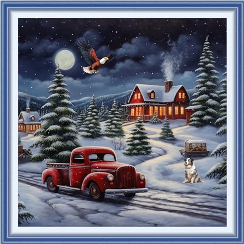 Funxvoot Stamped Cross Stitch Kits Beginners Full Range of Embroidery Kits for Adults 11CT Embroidery Patterns Needlepoint Kits Printed Cross Stitch Kits - (Christmas Night Scenery 18x18 inchs) - color: Cross Stitch Kits 09