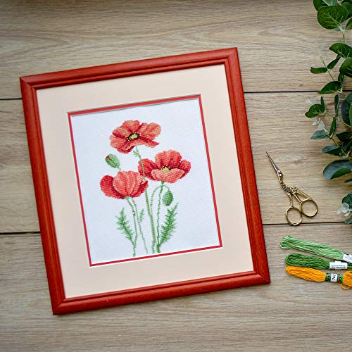 Povitrulya Counted Cross Stitch Kit “Poppies” | Poppy Wildflowers Hand Embroidery Kits for Adults | DIY Handmade Gift for Mother's Day - color: Poppies