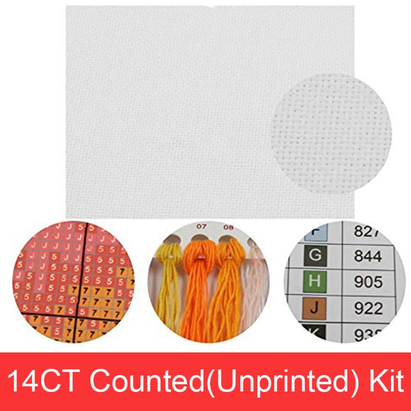 Funcrostitch Counted Cross Stitch Kits for Beginners,14ct Unprinted Pattern Embroidery Kit Dmc Cotton Threads Needleworks for Adults-The Beautiful Scenery of Park 21.6"X16.9" - color: 17.14CT Counted Kit,The beautiful scenery of Park 21.6"X16.9"