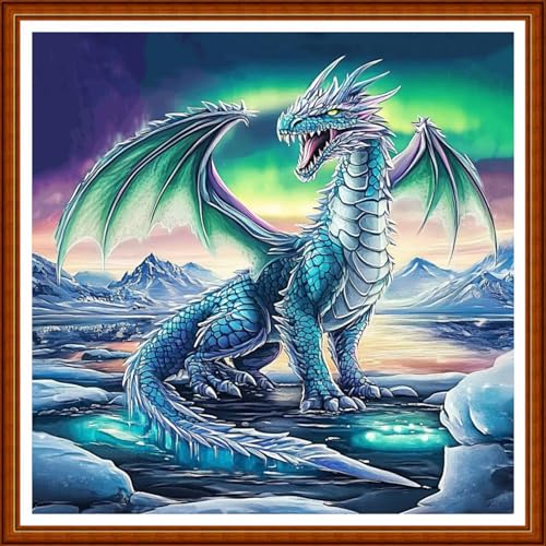 Funart Stamped Cross Stitch Kits for Beginners Full Range of Cross Stitching Preprinted Embroidery Kits for Adults, 11CT Embroidery Pattern Needlepoint Kits-Snow Scenery and Snow Dragon 18x18 inch - color: ColorArt50