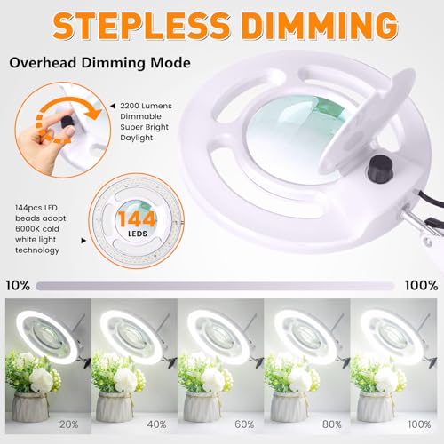 2200 Lumens Magnifying Lamp with Light, 10X Real Glass Lens - color: White