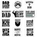 12pcs Best Dad Ever Iron On Decals Thermal Transfer Stickers for Clothing Appliqued Sublimation Patches Iron On Transfer Designs Heat Press Vinyl for Shirts Pillow Covers - style: 12PCS-S01(Small)