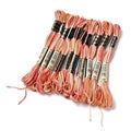 10 Skeins Light Salmon 0.5mm 6-Ply Polyester Embroidery Floss Cross Stitch Threads Segment Dyed Gradient for DIY Craft Hand Sewing Knitting DIY Crafts Jewelry Making 8.75 Yards(8m)/Skein - color: Light Salmon