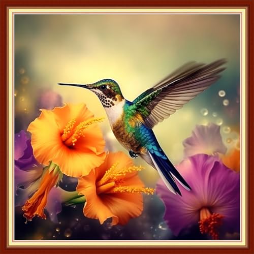 Foxdiviy Stamped Cross Stitch Kits Full Range of Embroidery Needlework Starter Kits for Beginners Adults 11CT Embroidery Patterns Art Crafts DIY Needlepoint Kits-Hummingbird Flowers 18x18 inch - color: Stamped Set 11