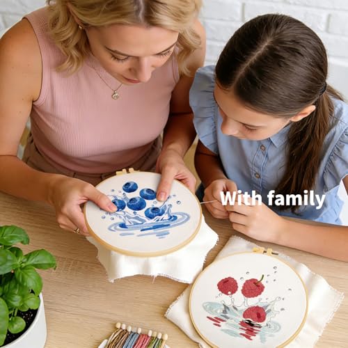 Armindou 2Set Embroidery Kits with Fruit Pattern for Beginners Adults, Hand Embroidery Needlepoint DIY Kits, Stamped Cross Stitch Kits for Beginners Adult, 2 Embroidery Hoops (Attached Video Tutorial) - color: Blue and Red, size: 8inch
