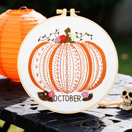 Easy Beginners Embroidery Stitches Practice Kits for Adults, Fall Pumpkin Embroidery Starters Kits for Beginners to Learn 26 Stitches, Autumn Hand Embroidery Set Craft for Women & Video Tutorial - color: H2032, size: 8Inch