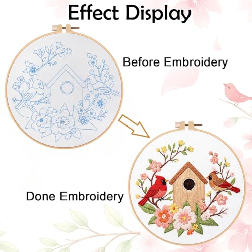 Louise Maelys Cardinal Birdhouse Flowers Embroidery Kit for Beginners - color: Cardinal Bird and Birdhouse